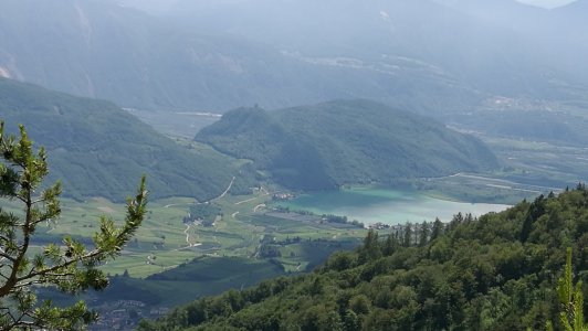 IMG_20190619_125623.jpg