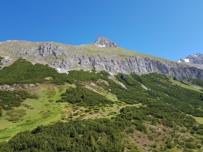 20190619_103514.jpg