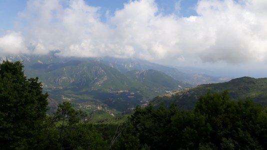 20190620_154847.jpg