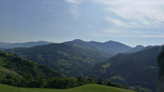 IMG_20190620_092440.jpg