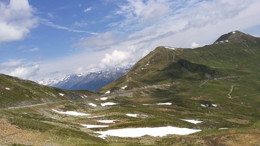 IMG_20190620_103124.jpg
