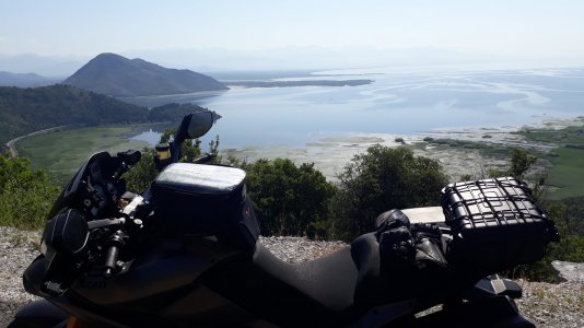 20190621_091348.jpg