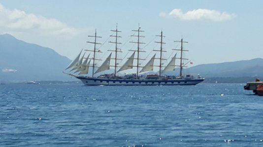 20190621_115544.jpg