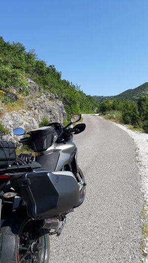 20190621_091411.jpg