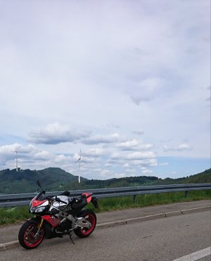 20190316_103247.jpg