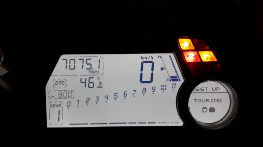 20190625_200227.jpg