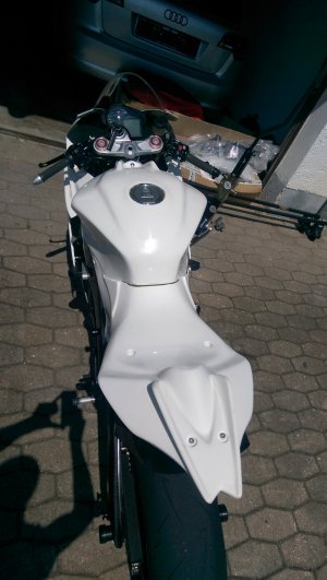 IMAG0985.jpg