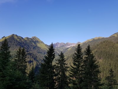 20190825_085324.jpg