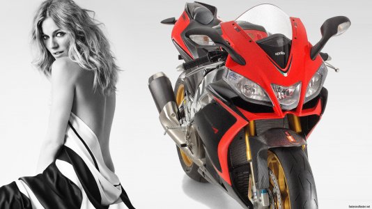 bikess babess 1 (3).jpg