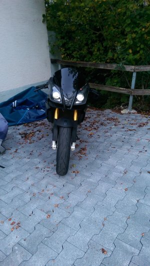 IMAG0817.jpg