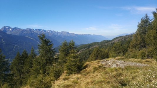 IMG_20190914_105749.jpg
