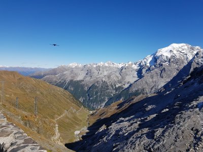 20191003_152540.jpg