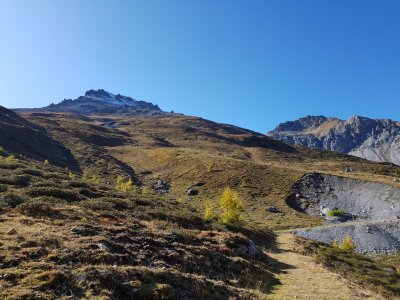 20191003_151639.jpg