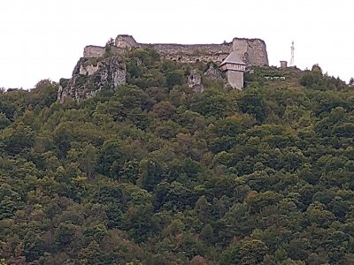 IMG_20191003_175113465.jpg