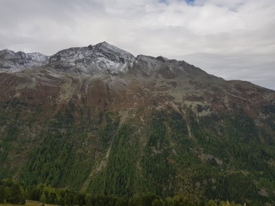 20191004_101937.jpg