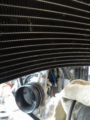 20191007_121611.jpg