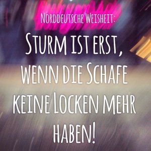 316885339927351b5456d3c3420fbdb2--hamburg-germany-hamburg-city.jpg