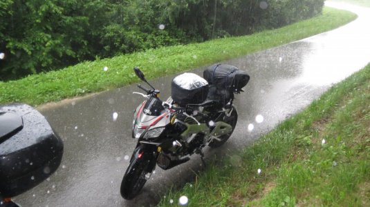 IMG_2141.JPG IMG_2141.JPG