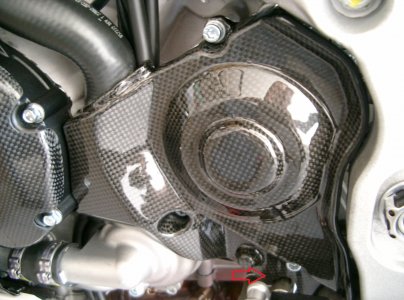 Carbon Ritzelabdeckung.jpg