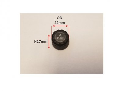 TPMS_2.jpg