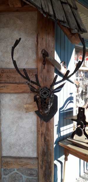 20201106_154450[1].jpg
