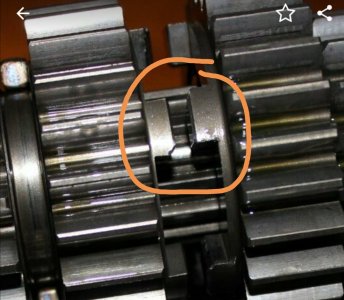 Screenshot_20201121_223249.jpg Screenshot_20201121_223249.jpg