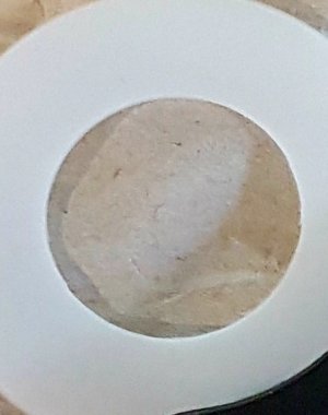 20201229_083739.jpg
