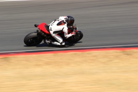 IMG_7547.JPG