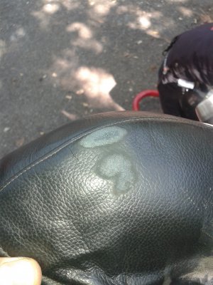 uploadfromtaptalk1440412331717.jpg