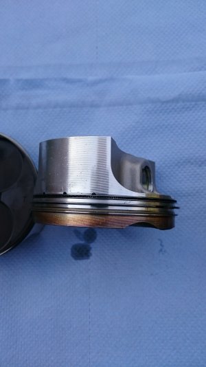 DSC_0359.JPG