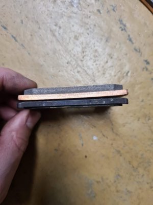 20201231_135117.jpg