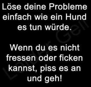 4D8EB6C6-7B62-4B99-B155-4DE91CA80740.jpeg