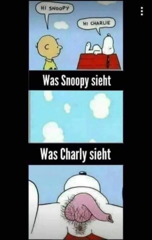 snoopy.jpg