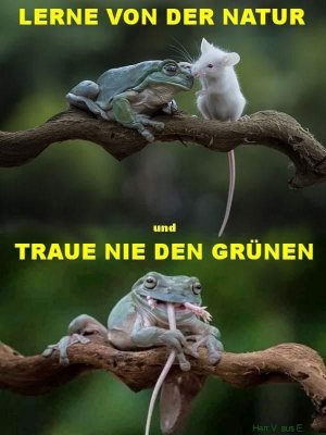 grüner Frosch.jpg