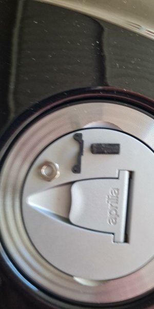 Micros. 2.jpg Micros. 2.jpg