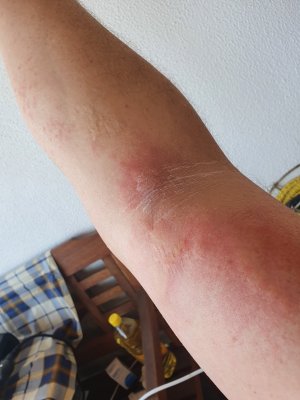 20210826_105515.jpg 20210826_105515.jpg