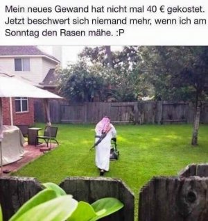 Mähen.jpg