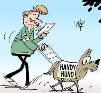 Handy Hund.jpg