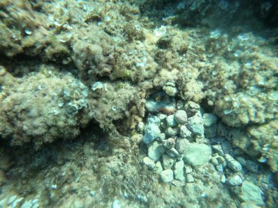 GOPR0291_ALTA1530137204317173903[1].JPG