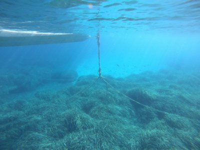 GOPR0293_ALTA1530137204317173903[1].JPG