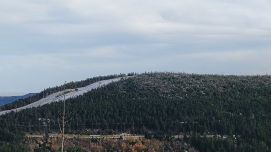 IMG_20211110_145445.jpg