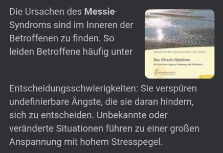 Der Messie.jpg