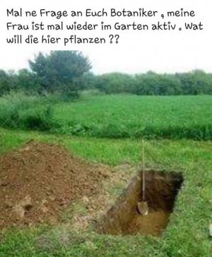 gartenarbeit.jpg