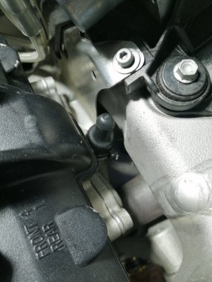 IMG_20211203_153835.jpg