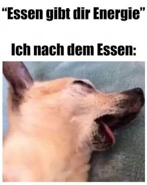 essen.jpg