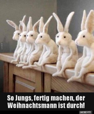 ostern.jpg