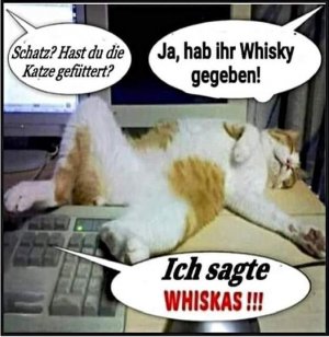 whiskas.jpg