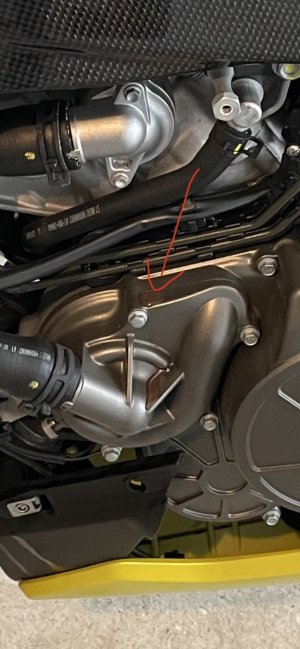 47D2A73D-9AFA-447A-8D5B-0A6C862957A6.jpeg 47D2A73D-9AFA-447A-8D5B-0A6C862957A6.jpeg