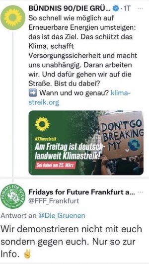FFF gegen die Grünen .jpg