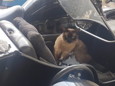 Guzzi Kater.jpg